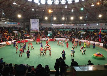 Допингийн шинжилгээнд хамрагдсан 31 бөх