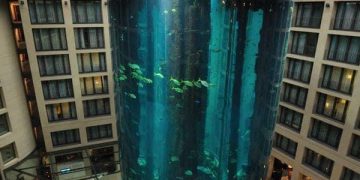 Дэлхийн хамгийн өндөр аквариум хагарчээ