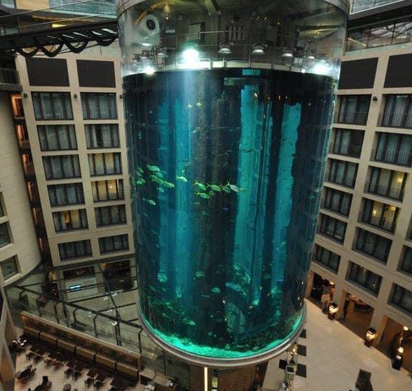 Дэлхийн хамгийн өндөр аквариум хагарчээ