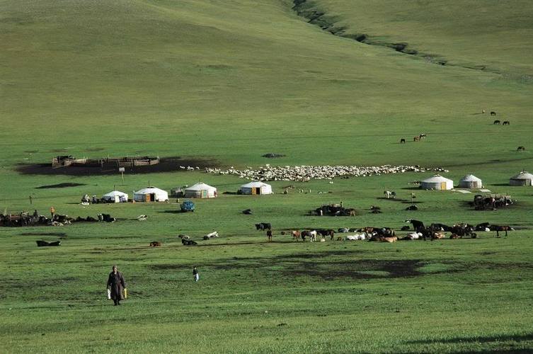 Монгол Улс 24 сая малын бэлчээрийн даацтай ч 71 сая малтай