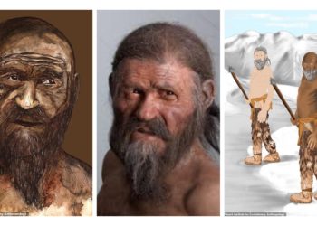 Европоос олдсон эртний хүний мумми хар бараан арьстай байсныг эрдэмтэд тогтоожээ