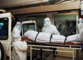 Энэтхэгт сарьсан багваахайн Нипа вирусээр 2 хүн нас баржээ