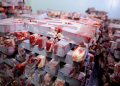 Иран руу  халал аргаар бэлтгэсэн 5000 тонн хонины мах экспортолжээ