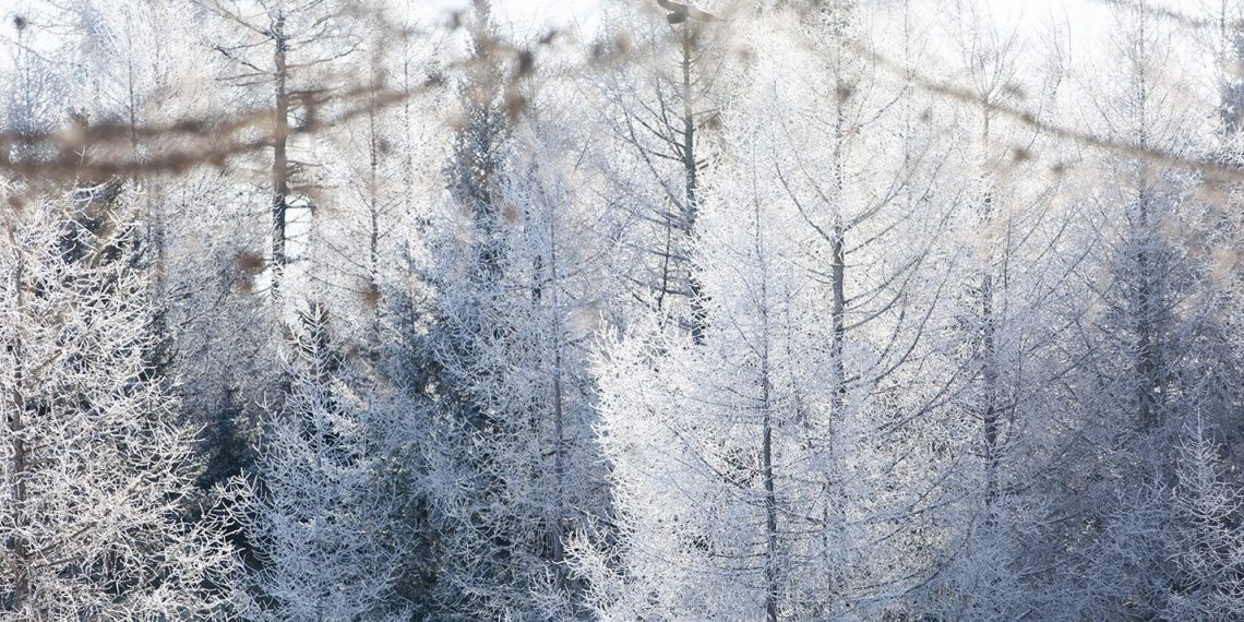 Хүйтний эрч чангарч, -49 хэм хүрэхийг анхааруулж байна