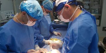 УГТЭ-ийн эмч нар Люксембургийн зочин профессорын багтай хамтарч зүрх судасны нарийн мэс заслуудыг хийжээ