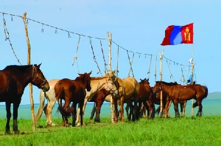 Наадмын өдрүүдэд Улаанбаатарт болох үзвэрүүд