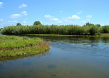 Хэрлэн голын салаанд нутаглаж байсан долоон өрх усанд боогджээ