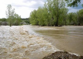 Голууд үерийн аюултай түвшинг 5-75 см даван үерлээд байна