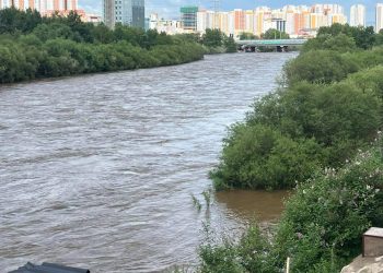 Туул голын уснаас сорьц авч, нарийвчилсан шинжилгээнд илгээлээ