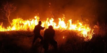 Боливи улсад гарсан ой, хээрийн түймрийн дэгдэлт түүхэн дээд түвшинд хүрч, онц байдал зарлажээ