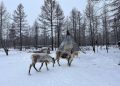 Хөвсгөлийн уулс болон Халх голын сав газраар цас орно