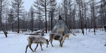 Хөвсгөлийн уулс болон Халх голын сав газраар цас орно