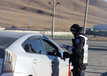 Хотон шувууны эд эрхтэн, тарвага, чонын арьс тээвэрлэж явжээ