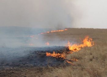 Айлын өвөлжөөг санаатайгаар шатааснаас болж түймэр гарчээ