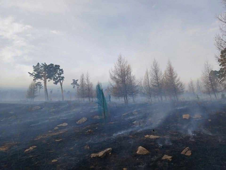 “Зүрх уул”-нд гарсан түймрийг бүрэн унтраажээ