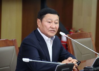 Н.Алтанхуяг: 15 жил нэмээгүй татварыг гэнэт 3 дахин өсгөх галзуу санаа яаж бодож олдог байна вэ