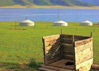 Япон эрдэмтэн Монгол айлуудыг жорлондоо аргалын үнсээ хийхийг зөвлөжээ
