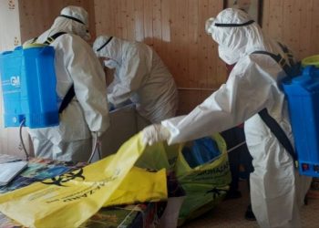 Иргэд хадгалсан тарвагаа өгч, устгалд оруулж байна