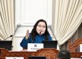 М.Энхцэцэг: Асуудлыг шийдэхийн тулд хамгийн түрүүнд хууль эрх зүйн орчныг шинэчлэх зайлшгүй шаардлагатай