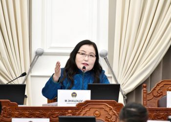 М.Энхцэцэг: Асуудлыг шийдэхийн тулд хамгийн түрүүнд хууль эрх зүйн орчныг шинэчлэх зайлшгүй шаардлагатай