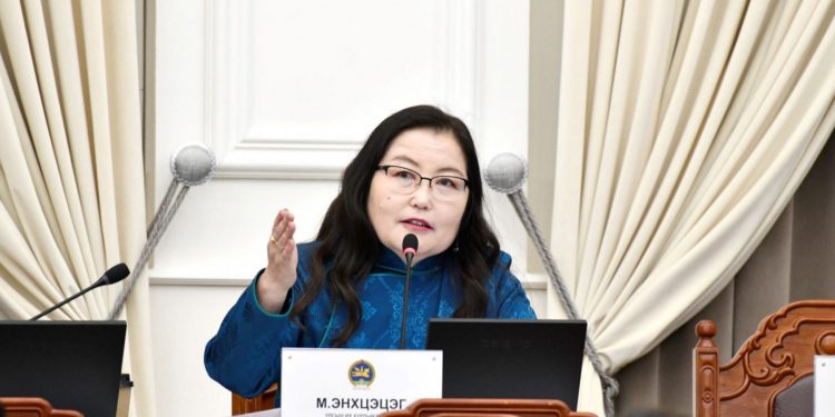 М.Энхцэцэг: Асуудлыг шийдэхийн тулд хамгийн түрүүнд хууль эрх зүйн орчныг шинэчлэх зайлшгүй шаардлагатай