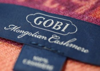 “Говь” ХК-ийн хэлбэрээ өөрчилж хязгаарлагдмал хариуцлагатай компани болох ажиллагааг зогсоолоо