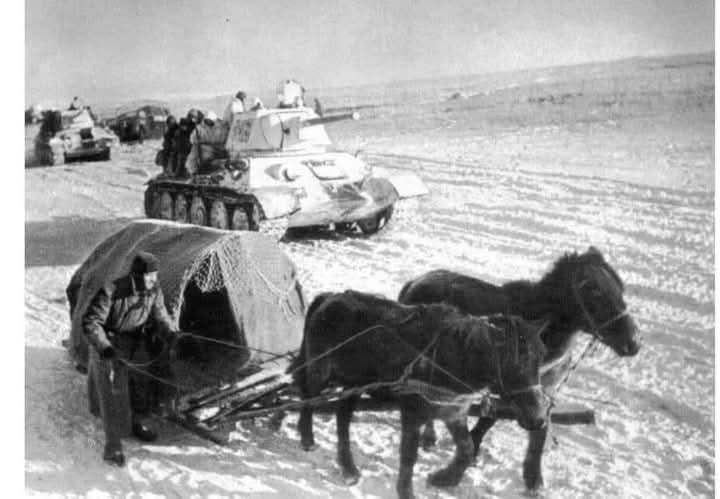 Фашистыг устгахад гавьяа байгуулсан Монгол морьдыг үхүүлж болохгүй гэж дарга тушаасан
