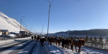 Х.Нямбаатар: Ирэх сарын 1-нээс өмнө нийслэлээс малаа гаргахгүй бол нэг адуунд 1 сая төгрөгийн торгууль ногдуулна