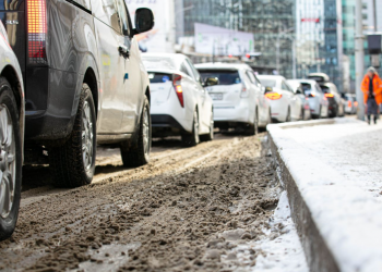 Тэгш, сондгойгоор зорчуулах санал асуулга дууссан тул үр дүнгээ нэгтгэнэ