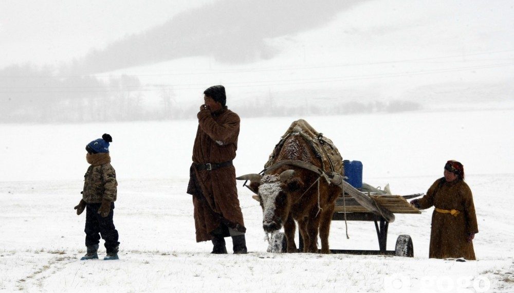 Нийт нутгийн 23 хувьд цастай байна