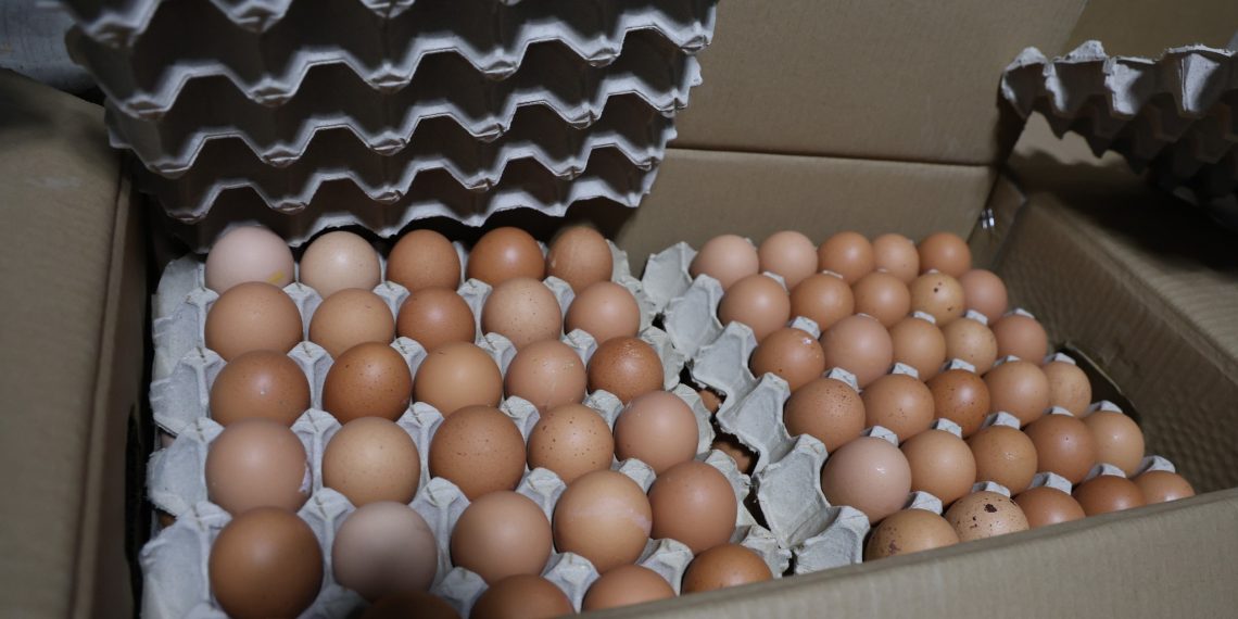 Хуурамч дардастай өндөг худалдан борлуулсан аж ахуйн нэгжид 20.000.000 төгрөгийн торгууль ногдууллаа