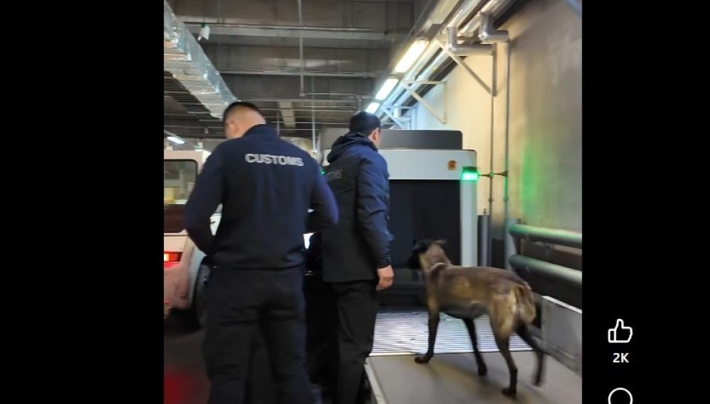 Сэргээшийн төрлийн их хэмжээний бодис хилээр нэвтрүүлэхийг завджээ