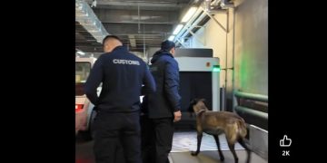 Сэргээшийн төрлийн их хэмжээний бодис хилээр нэвтрүүлэхийг завджээ