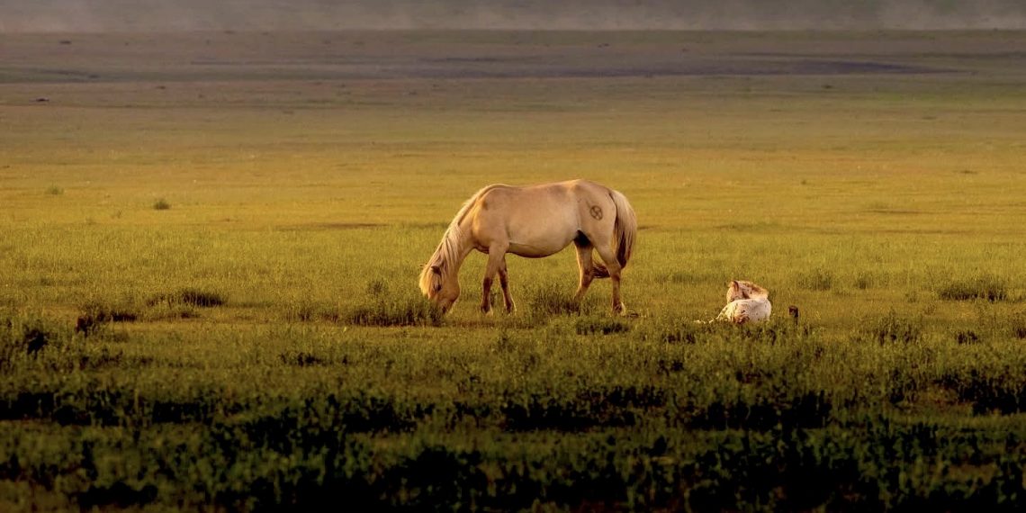 Агаарын температур өмнөх жилээс -4.5°С-аар, олон жилийн дунджаас -2.9°С-аар хүйтэн 10-р сар байлаа