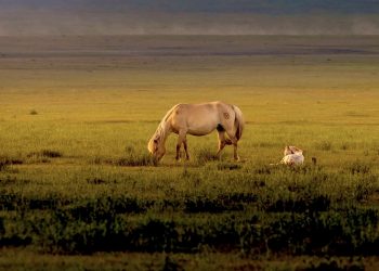 Агаарын температур өмнөх жилээс -4.5°С-аар, олон жилийн дунджаас -2.9°С-аар хүйтэн 10-р сар байлаа