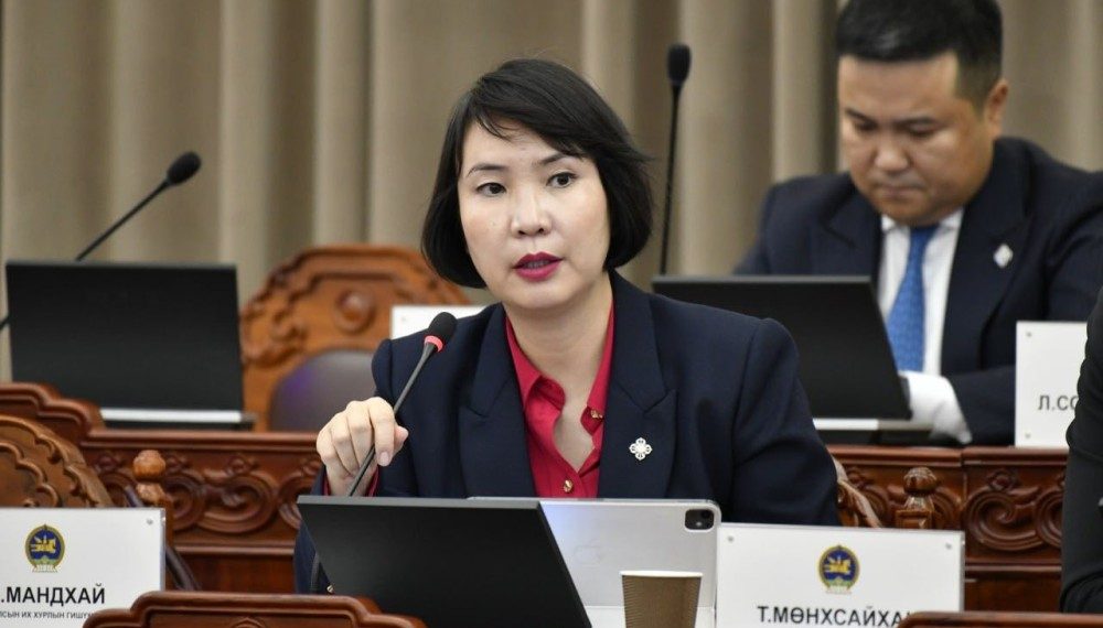 М.Мандхай: МАНАН бүлэг байдгийг өнөөдрийн чуулганы хуралдаанаас харлаа