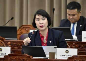 М.Мандхай: МАНАН бүлэг байдгийг өнөөдрийн чуулганы хуралдаанаас харлаа