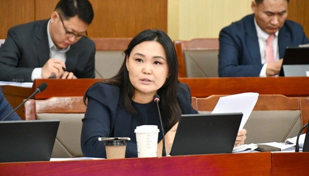 Ч.Номин: МҮОНРТ-ийн иргэдээс авдаг хураамжийг нэмэх нь зөв гэж боддог