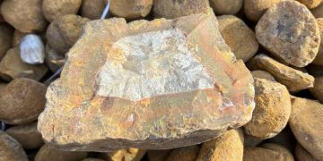 ГЕГ: Их хэмжээний байгалийн чулууг улсын хилээр хууль бусаар гаргах гэж байсныг илрүүлэв