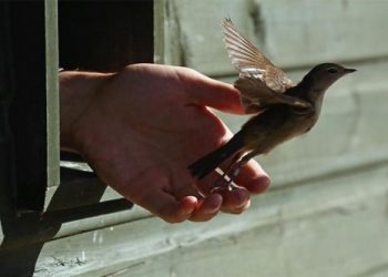 Мартах ёстой зүйлсийг хэрхэн мартах тухай япон сэтгэл зүйчийн зөвлөгөө