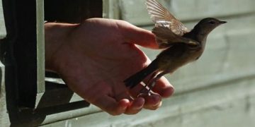 Мартах ёстой зүйлсийг хэрхэн мартах тухай япон сэтгэл зүйчийн зөвлөгөө