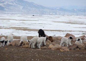 2-р сард ихэнх нутгаар олон жилийн дунджаас хүйтэн байна