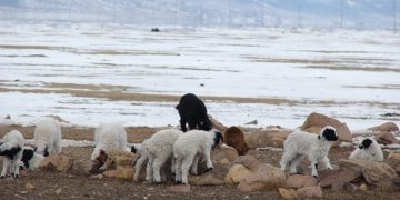 2-р сард ихэнх нутгаар олон жилийн дунджаас хүйтэн байна
