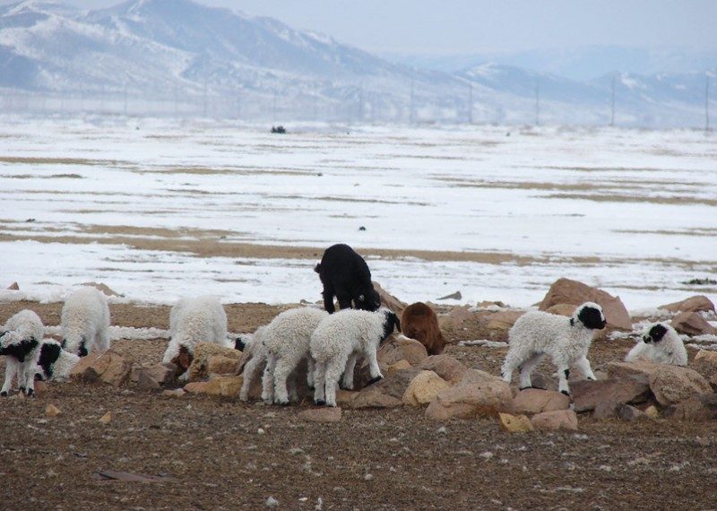 2-р сард ихэнх нутгаар олон жилийн дунджаас хүйтэн байна