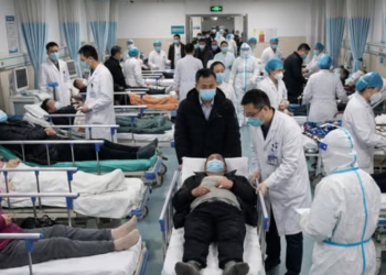 Энэтхэгийн Баруун Бенгал мужид илэрсэн Нипах вирусийн шинэ дэгдэлт Ази даяарх эрүүл мэндийн байгууллагуудыг өндөржүүлсэн бэлэн байдалд шилжүүлжээ