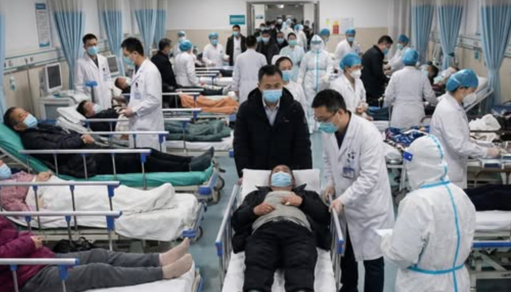 Энэтхэгийн Баруун Бенгал мужид илэрсэн Нипах вирусийн шинэ дэгдэлт Ази даяарх эрүүл мэндийн байгууллагуудыг өндөржүүлсэн бэлэн байдалд шилжүүлжээ