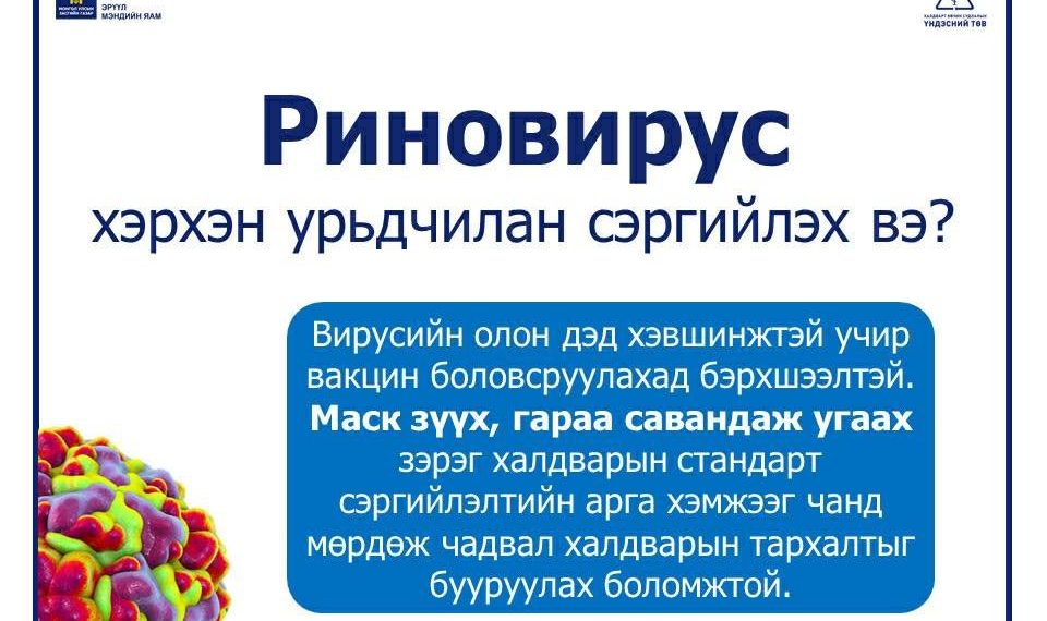 ХӨСҮТ: Риновирусийн халдвар хатгаа болж хүндрэх эрсдэлтэй байна