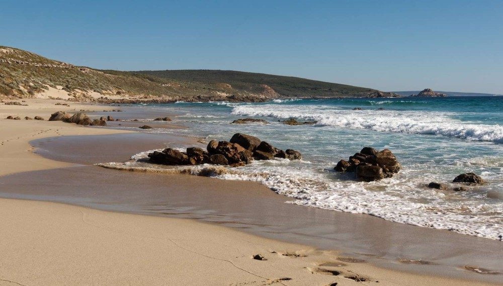 13 настай хүү далайд дөрвөн цагийн турш сэлж, гэр бүлээ аварчээ