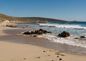 13 настай хүү далайд дөрвөн цагийн турш сэлж, гэр бүлээ аварчээ