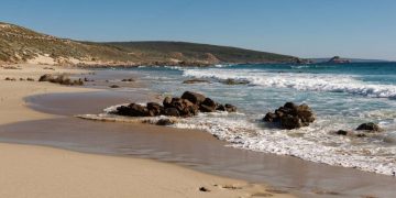 13 настай хүү далайд дөрвөн цагийн турш сэлж, гэр бүлээ аварчээ